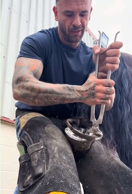 Cover of the TikTok video by @jymmy.horsecare.farm — #horse #horsecare #farrier #horseshoe #tiktokgrowthchallenge
